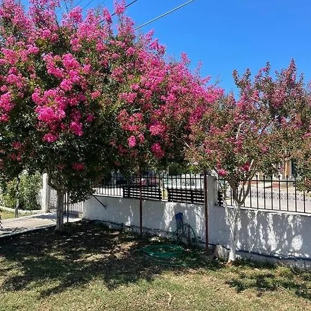 Aspasias Traditional بيت للعطل *