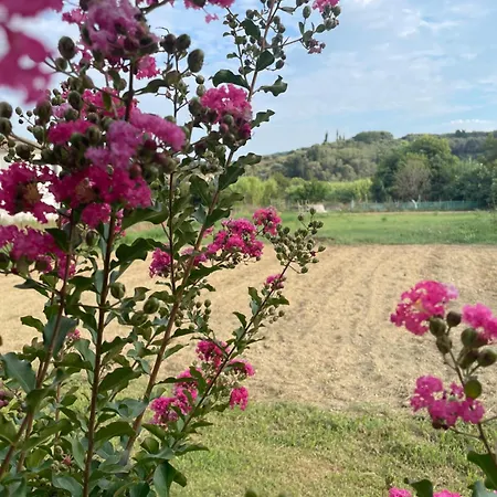 Feriehus Aspasias Traditional *